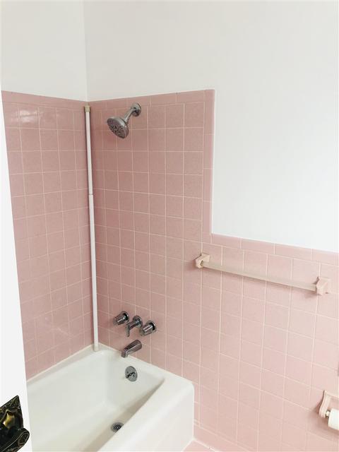 1020 Springview, Flushing, MI 48433 photo 27