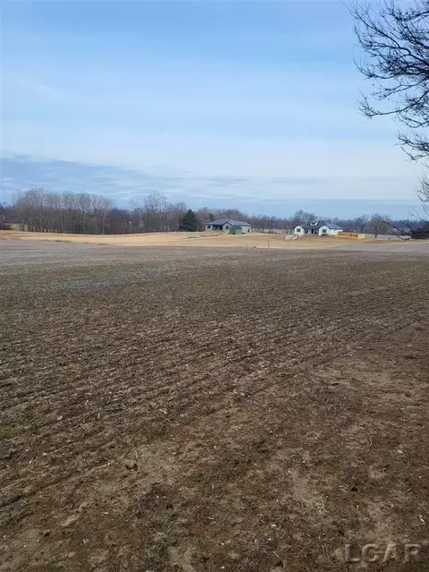 809 Brown, Tecumseh, MI 49286 photo 5