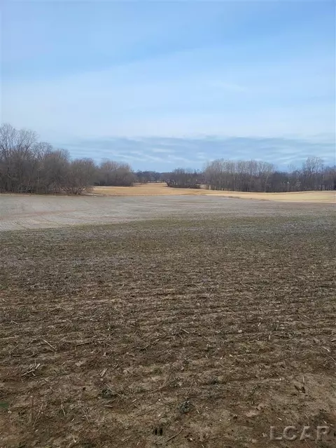 809 Brown, Tecumseh, MI 49286 photo 6