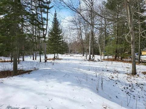 4923 E Shore Dr, Alger, MI 48610 photo 5