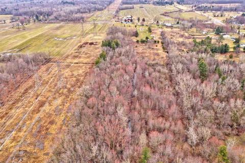 2414 E Willard Rd, Clio, MI 48420 photo 59