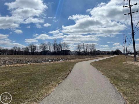 Vacant County Line, New Baltimore, MI 48047