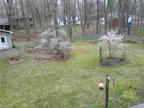 12859 Basell, Hemlock, MI 48626 photo 44