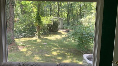 12859 Basell, Hemlock, MI 48626 photo 7