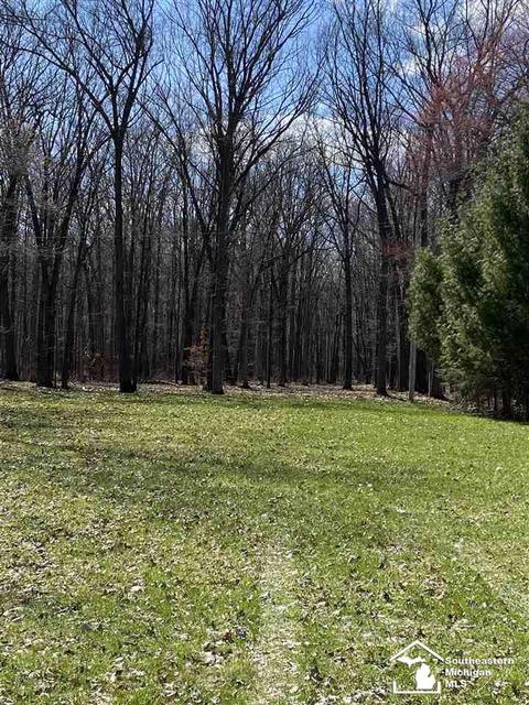 0 Yensch, Maybee, MI 48159 photo 4