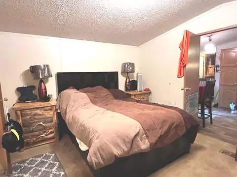 11651 E Townline Lk, Gladwin, MI 48624 photo 10