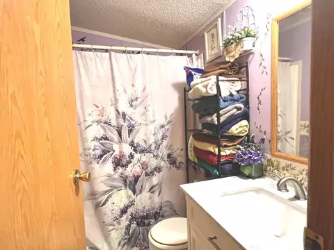 11651 E Townline Lk, Gladwin, MI 48624 photo 13