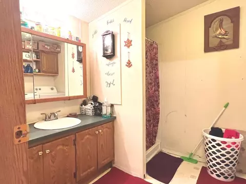 11651 E Townline Lk, Gladwin, MI 48624 photo 17