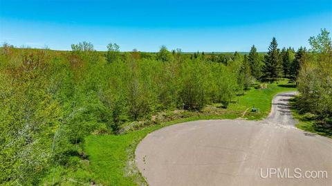 13880 E Jackola, Stanton, MI 49905 photo 12