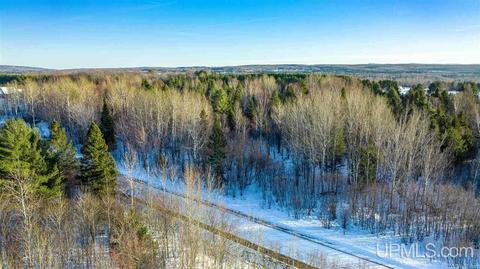 13880 E Jackola, Stanton, MI 49905 photo 27