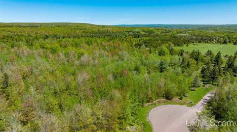 13880 E Jackola, Stanton, MI 49905 photo 8
