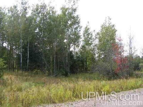 13880 E Jackola, Stanton, MI 49905 photo 25