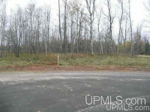 13880 E Jackola, Stanton, MI 49905 photo 24