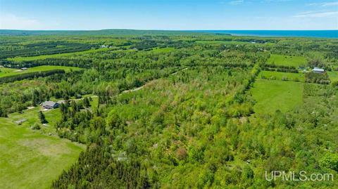 13880 E Jackola, Stanton, MI 49905 photo 3