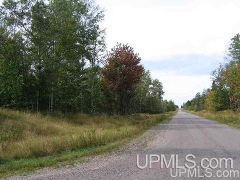13880 E Jackola, Stanton, MI 49905 photo 26