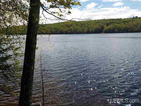 2 16ac Swante Aho #SURVEYOR'S  1, Crystal Falls, MI 49920