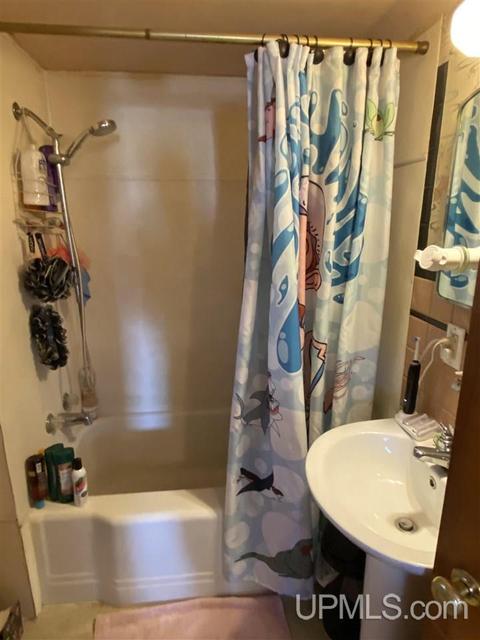 307 W Division, Ishpeming, MI 49849 photo 30
