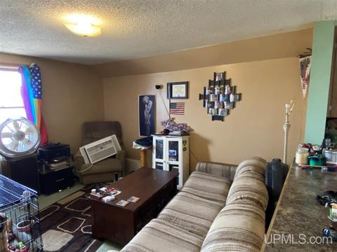 307 W Division, Ishpeming, MI 49849 photo 26