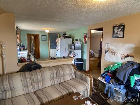 307 W Division, Ishpeming, MI 49849 photo 27