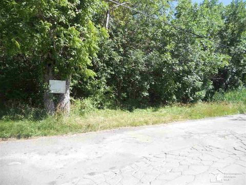 0 W River Rd-vacant #LOT GROSSE, Ile, MI 48138