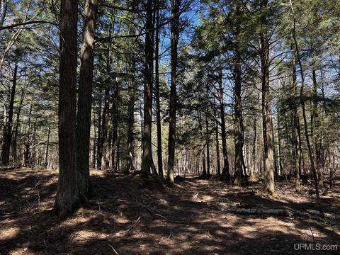 Tbd Hemlock View, Manistique, MI 49854