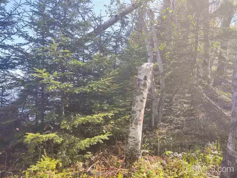 tbd Parcel B Point Abbaye, L'anse, MI 49946 photo 14