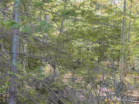 tbd Parcel B Point Abbaye, L'anse, MI 49946 photo 33