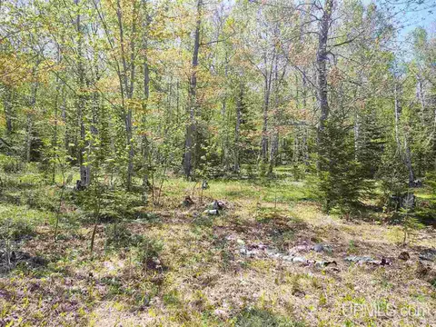 tbd Parcel B Point Abbaye, L'anse, MI 49946 photo 35