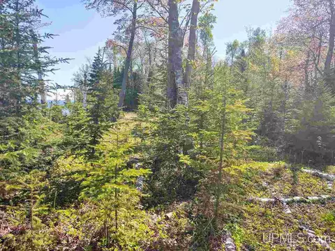 tbd Parcel B Point Abbaye, L'anse, MI 49946 photo 34
