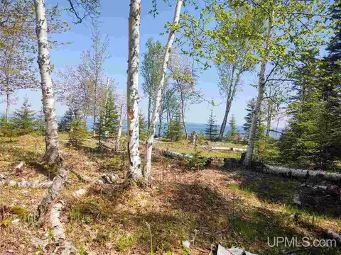 tbd Parcel C Point Abbaye, L'anse, MI 49946 photo 9