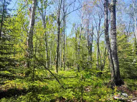 tbd Parcel C Point Abbaye, L'anse, MI 49946 photo 21