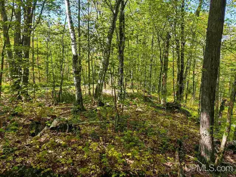 tbd Parcel C Point Abbaye, L'anse, MI 49946 photo 23