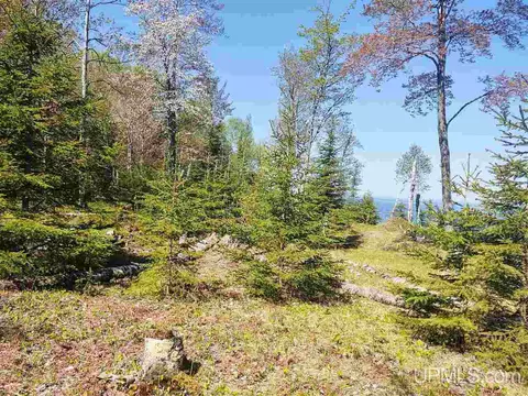 tbd Parcel C Point Abbaye, L'anse, MI 49946 photo 12