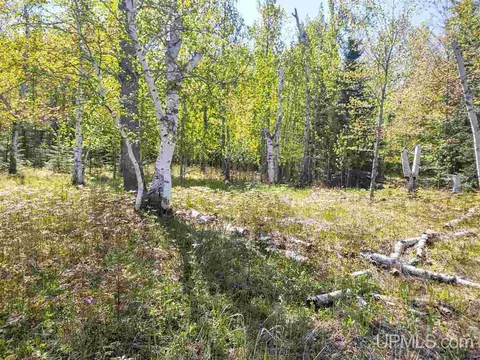 tbd Parcel C Point Abbaye, L'anse, MI 49946 photo 19