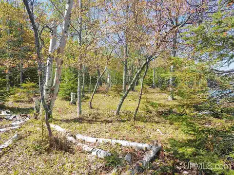 tbd Parcel C Point Abbaye, L'anse, MI 49946 photo 20