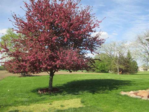11270 W Stanley, Flushing, MI 48433 photo 30