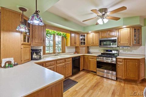1615 Mitchell Ct, Adrian, MI 49221 photo 20