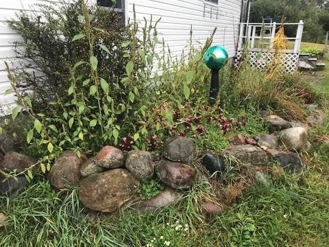 10775 Maple Valley Rd, Gladwin, MI 48624 photo 34