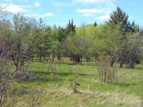 Tbd M28, Bruce Crossing, MI 49912