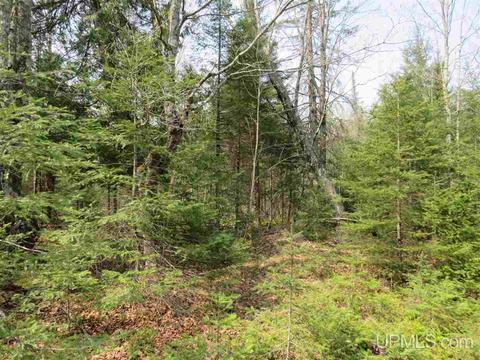 Tbd Off Vega, Hermansville, MI 49847