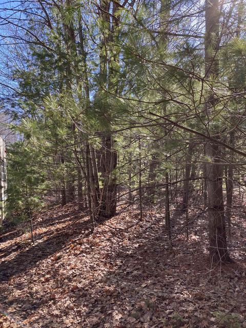 873 Rivers Ter, Gladwin, MI 48624 photo 27