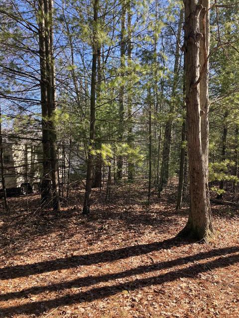 873 Rivers Ter, Gladwin, MI 48624 photo 29