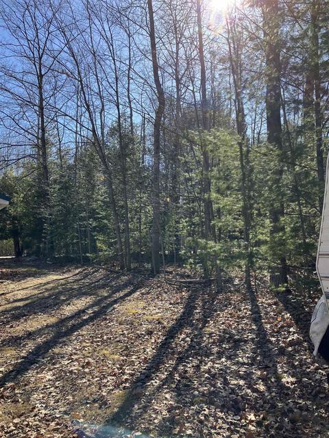 873 Rivers Ter, Gladwin, MI 48624 photo 28