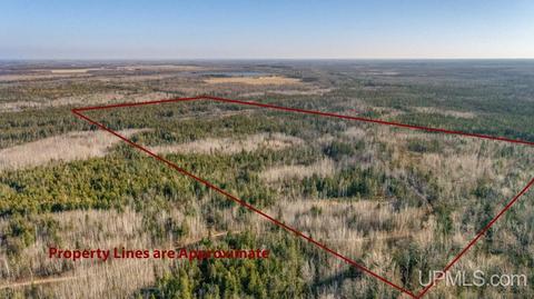 Tbd 80 Acres County Rd 523 Shopping Mall, Arnold, MI 49819