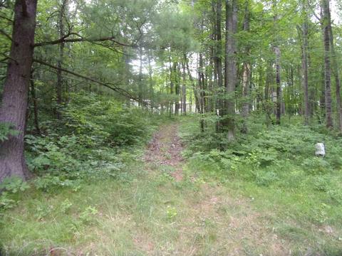 811 Peasley, Harrison, MI 48625 photo 21