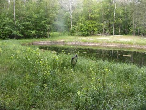811 Peasley, Harrison, MI 48625 photo 19
