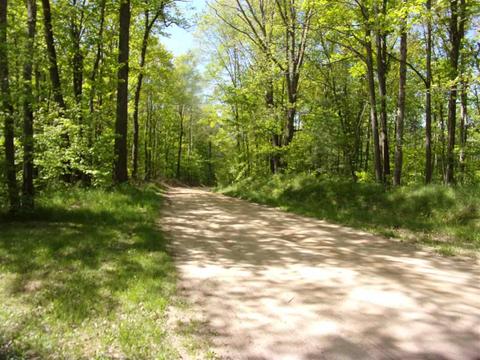 811 Peasley, Harrison, MI 48625 photo 30