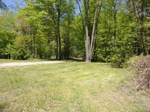 811 Peasley, Harrison, MI 48625 photo 33