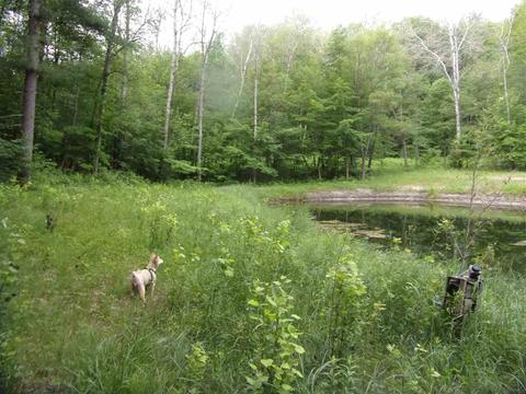 811 Peasley, Harrison, MI 48625 photo 20