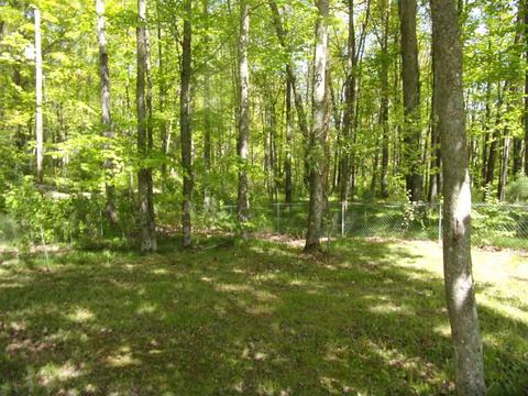 811 Peasley, Harrison, MI 48625 photo 29